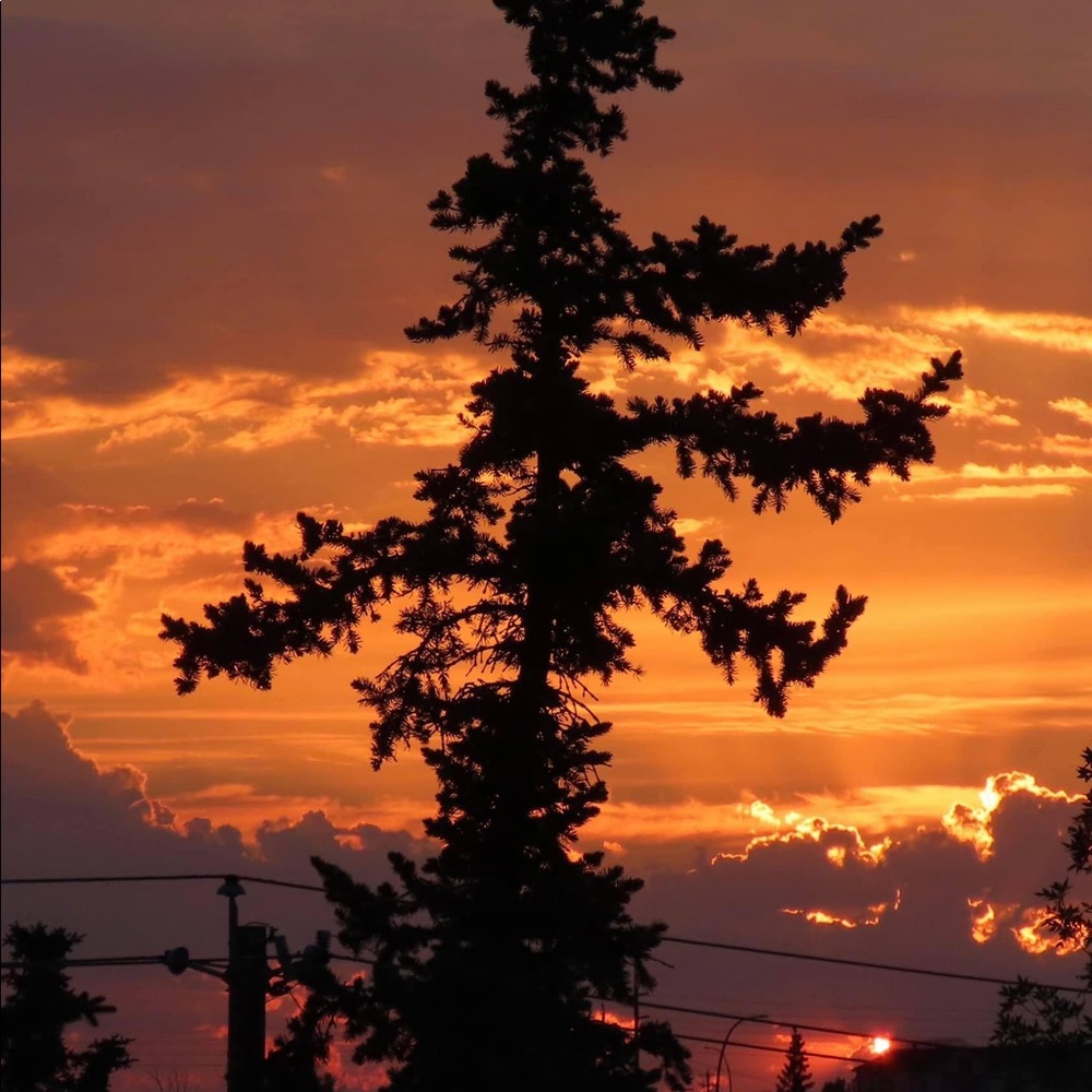 Meet your Posher, Duncan